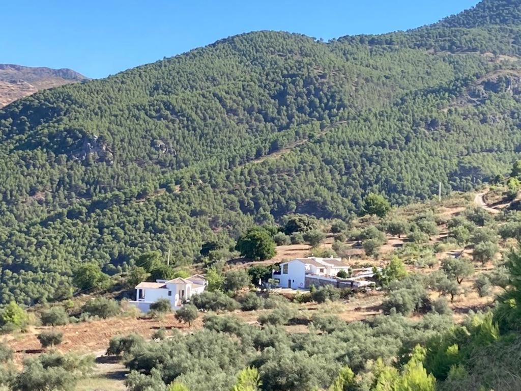 Apartamento La Fuente Alcaucín Buitenkant foto